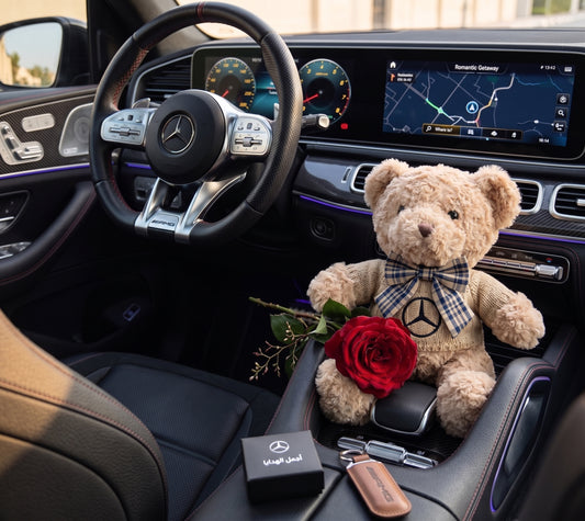 Teddy Bear Car with Your Logo
