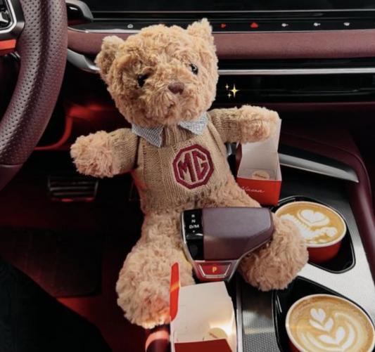 Teddy Bear Car with Your Logo